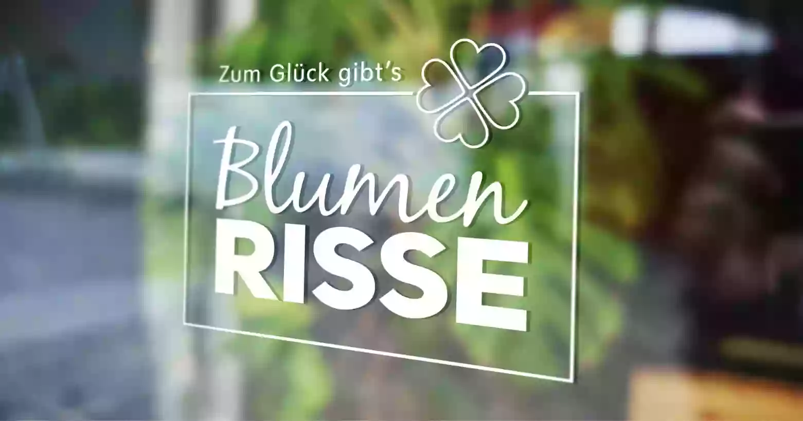 Blumen Risse Blumenladen Lübbecke