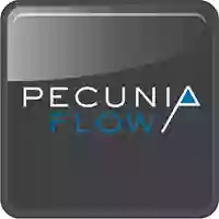 Pecunia Flow Unternehmensberatung Dennis Kahl