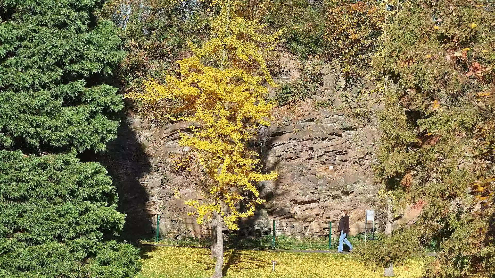 Geologischer Garten