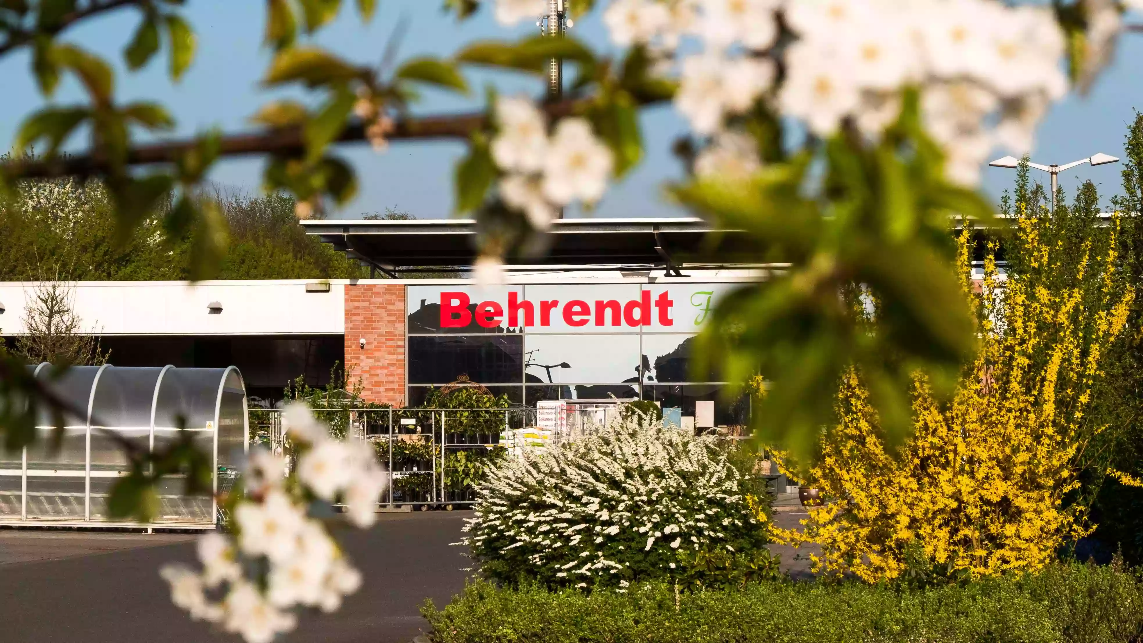 Behrendt Frischemarkt GmbH