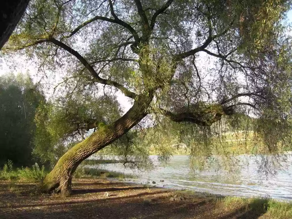 Praxis Cambium Psychotherapie Bonn - Systemische Therapie und Beratung(SG)