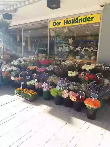 Blumen der Holländer