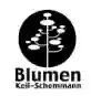 Blumen Keil-Schemmann