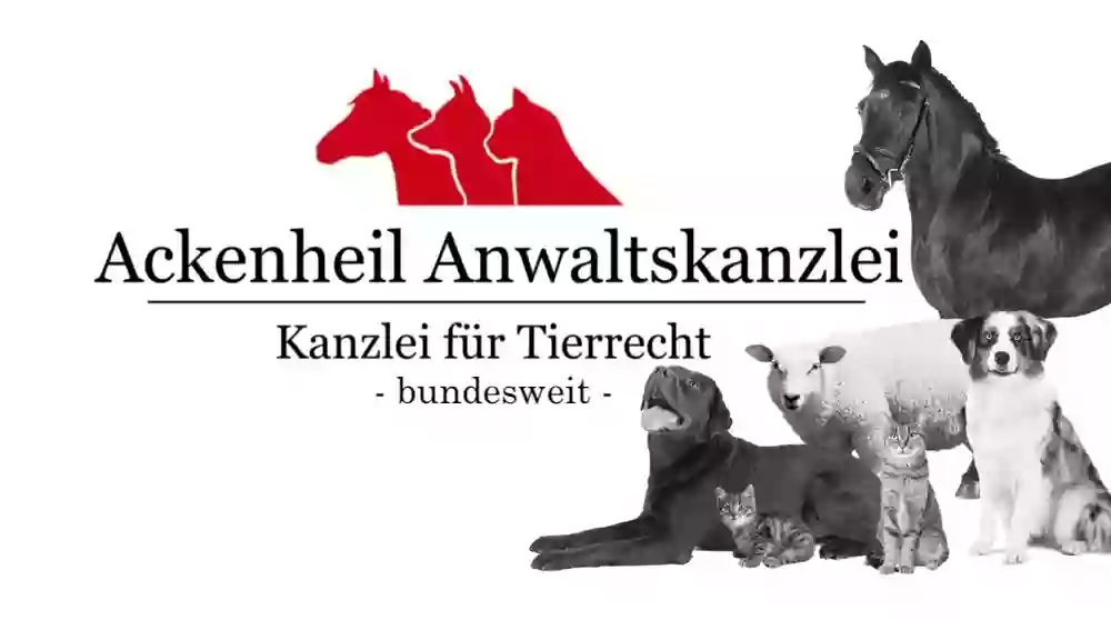 Anwalt | Pferderecht | Hunderecht | Tierrechtskanzlei Ackenheil - bundesweit