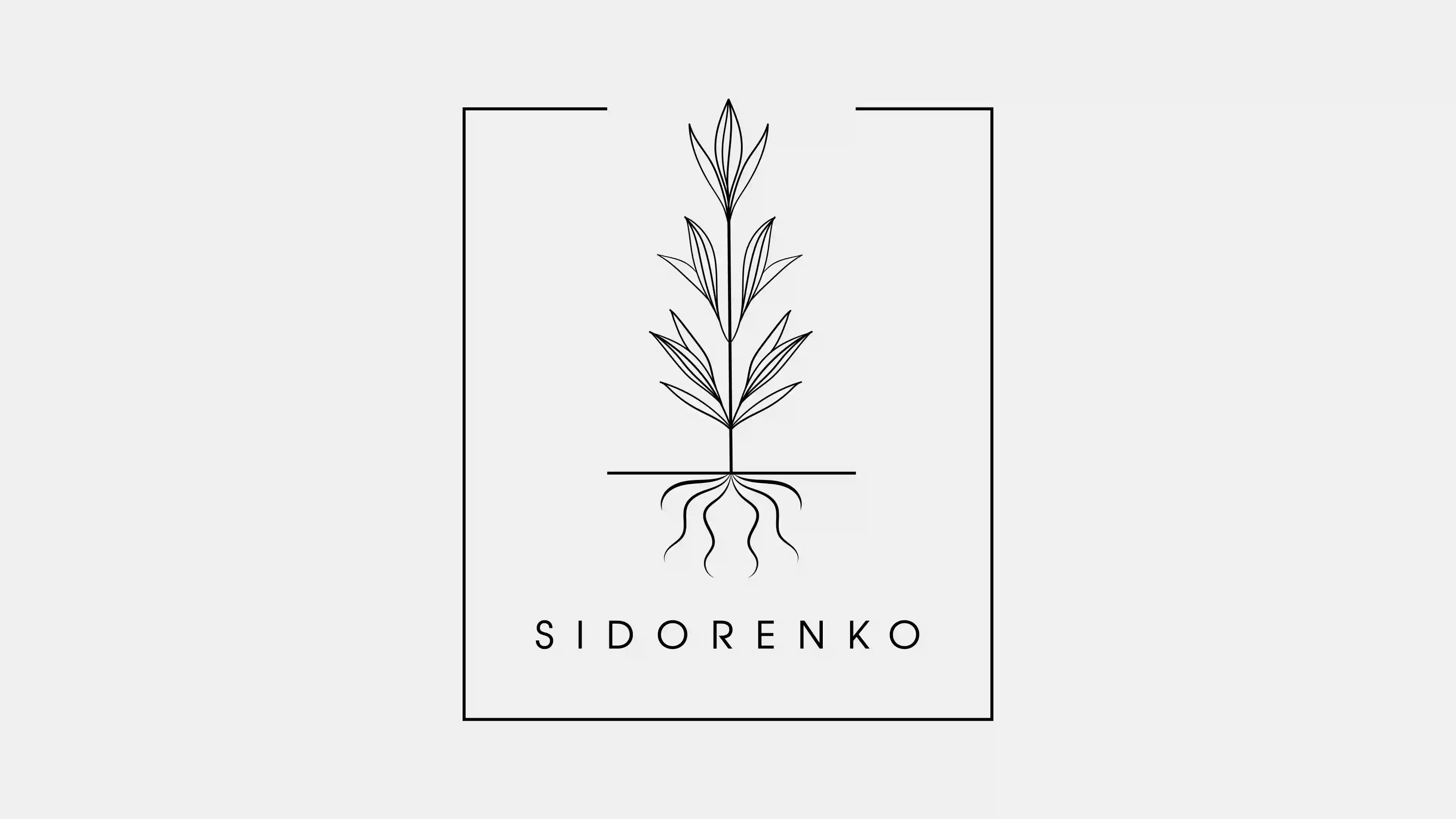 Restaurant Sidorenko