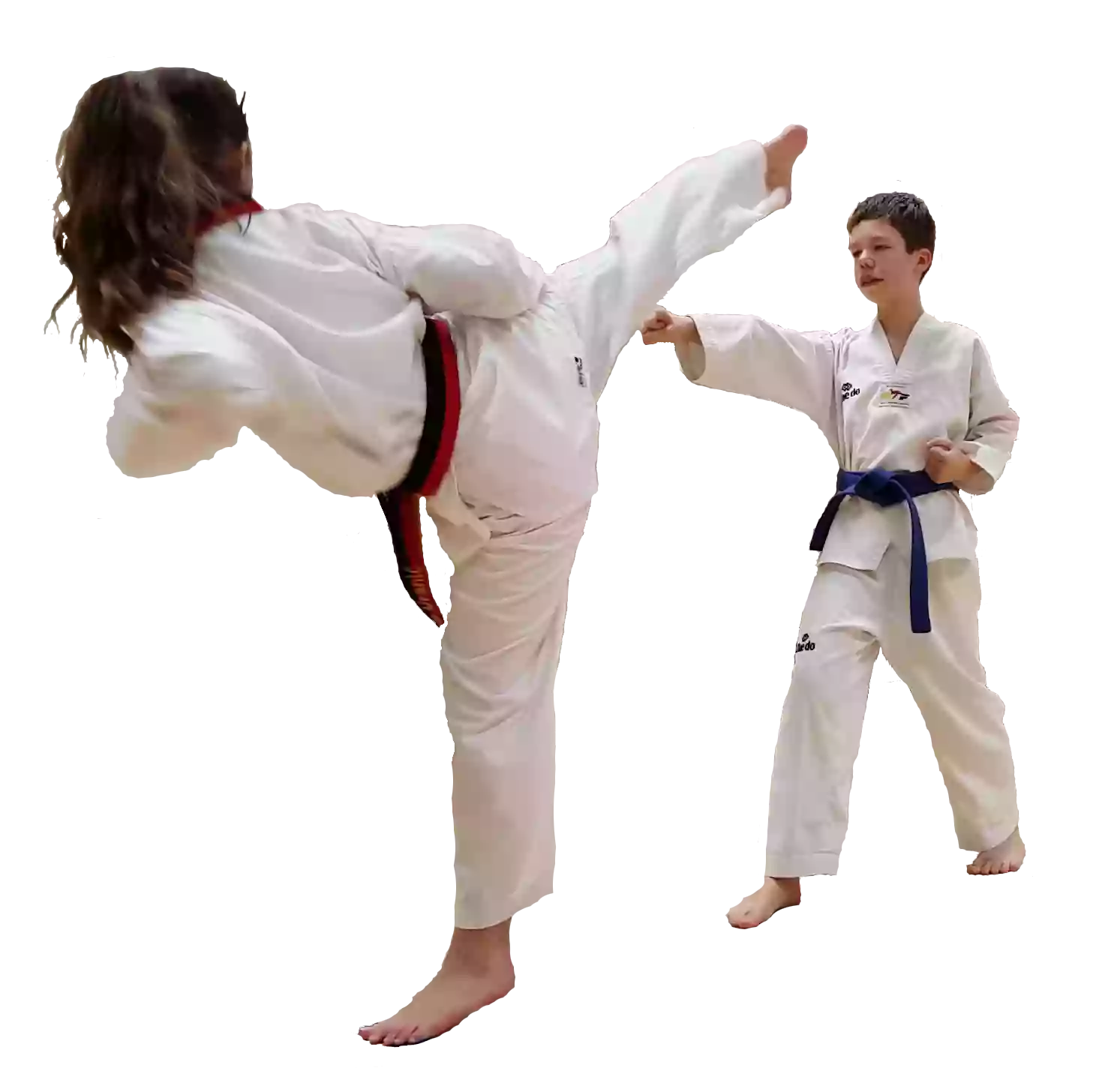 Taekwondo Chon Ji Freiberg e.V.