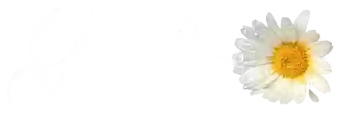 Gronitz Floristik