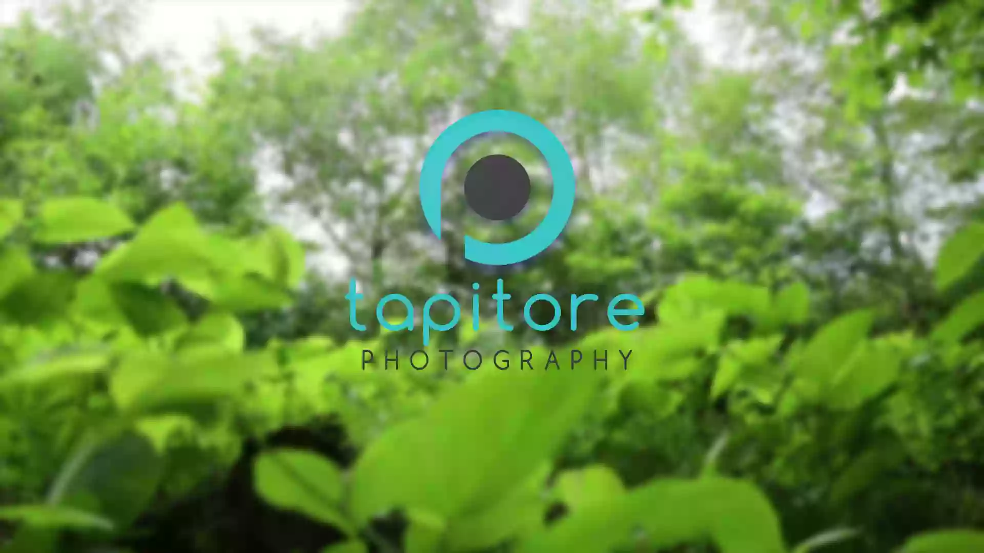 Tapitore Photography