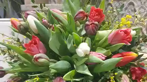 Gestrüpp - Florales Handwerk