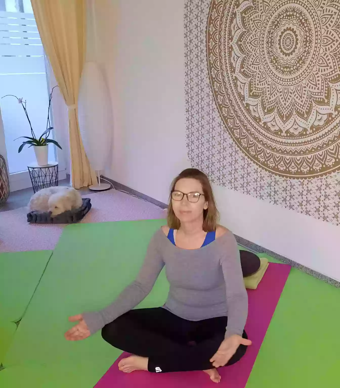 Pilatoga - Pilates trifft Yoga - in Erfurt - Zentrum