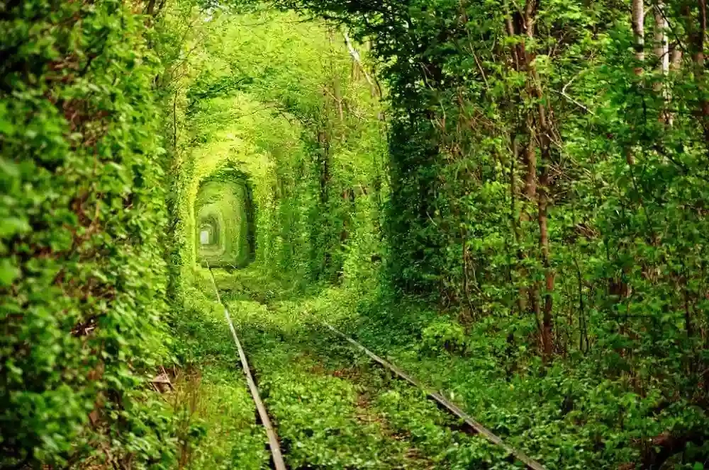 Тунель кохання