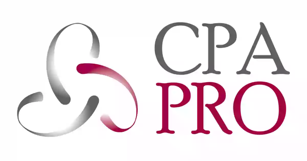 CPA Professionals, Inc.