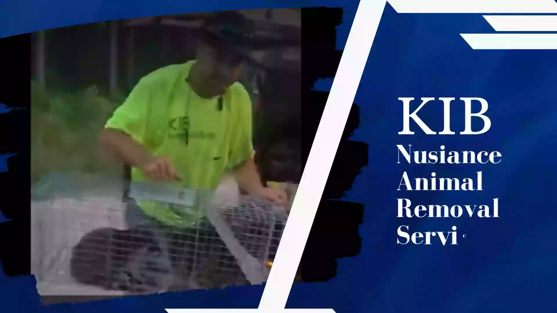 KIB Nuisance Animal Removal