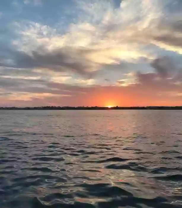 Best Dolphin cruise On Perdido Key