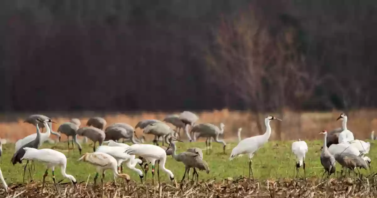 Wheeler National Wildlife Refuge Visitor Center