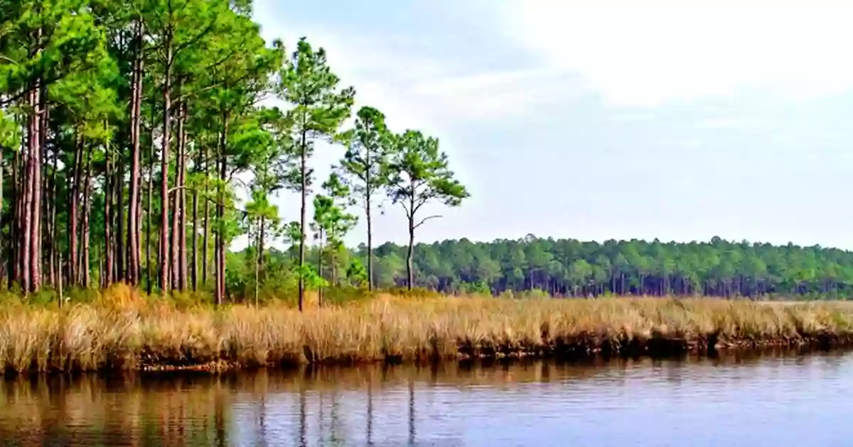 Grand Bay National Wildlife Refuge