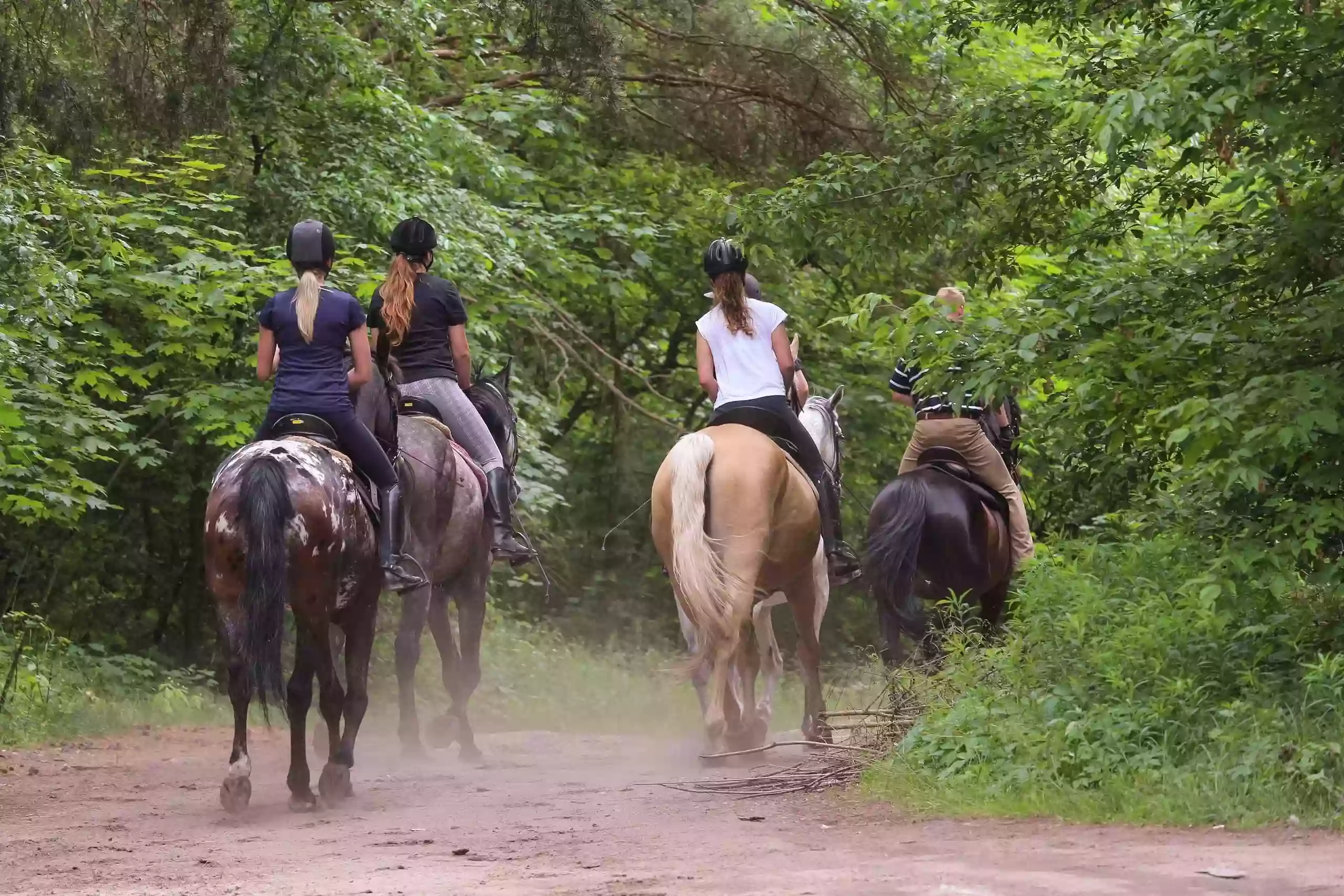 Wheeler Lake Horse Stables