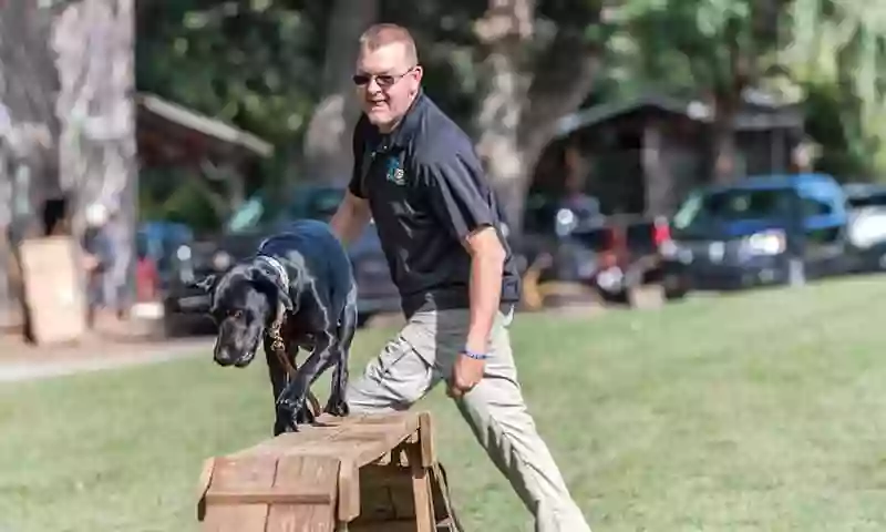 Highland Canine Training - Alabama