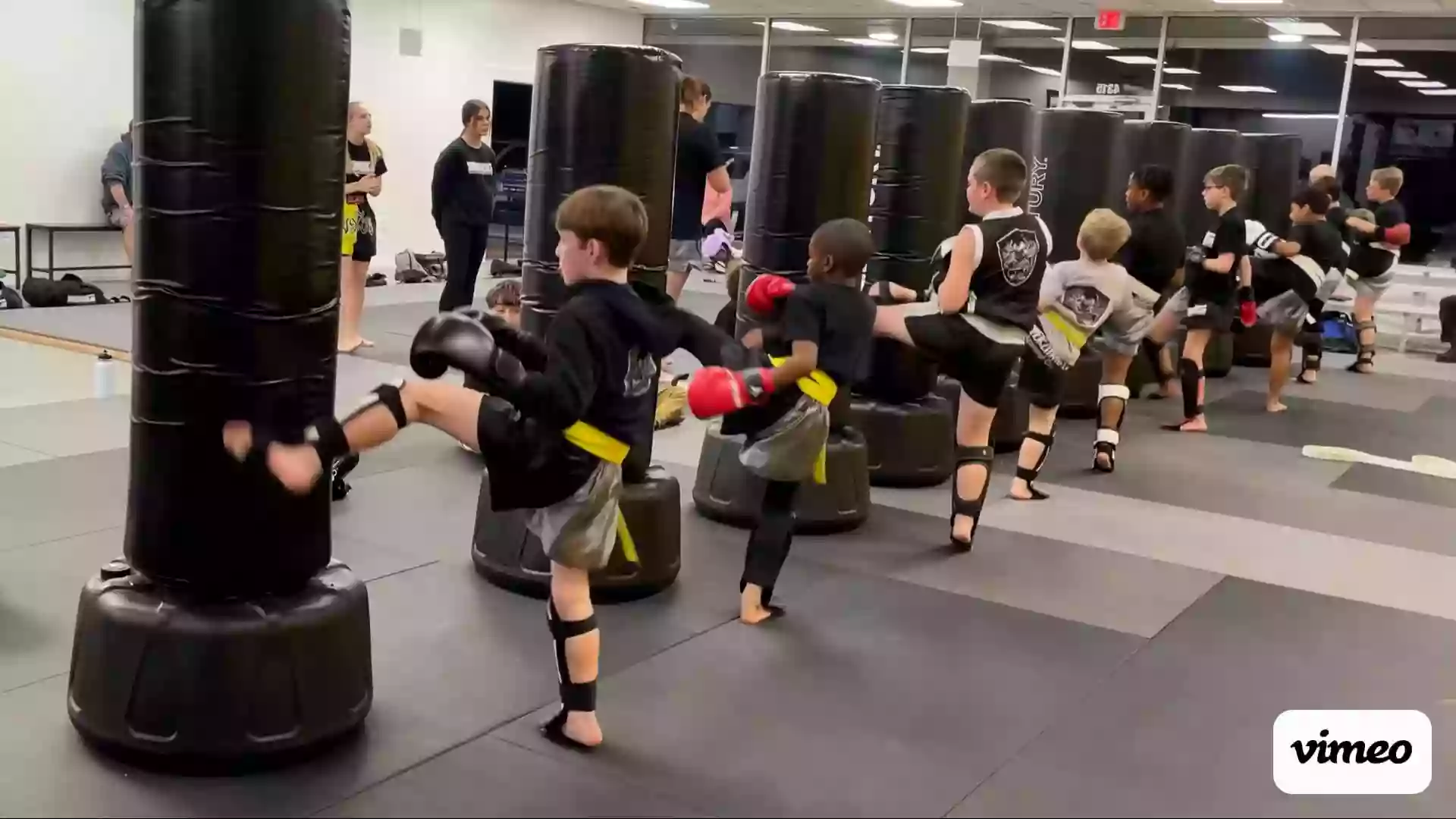 NXG Combat Sports & Martial Arts