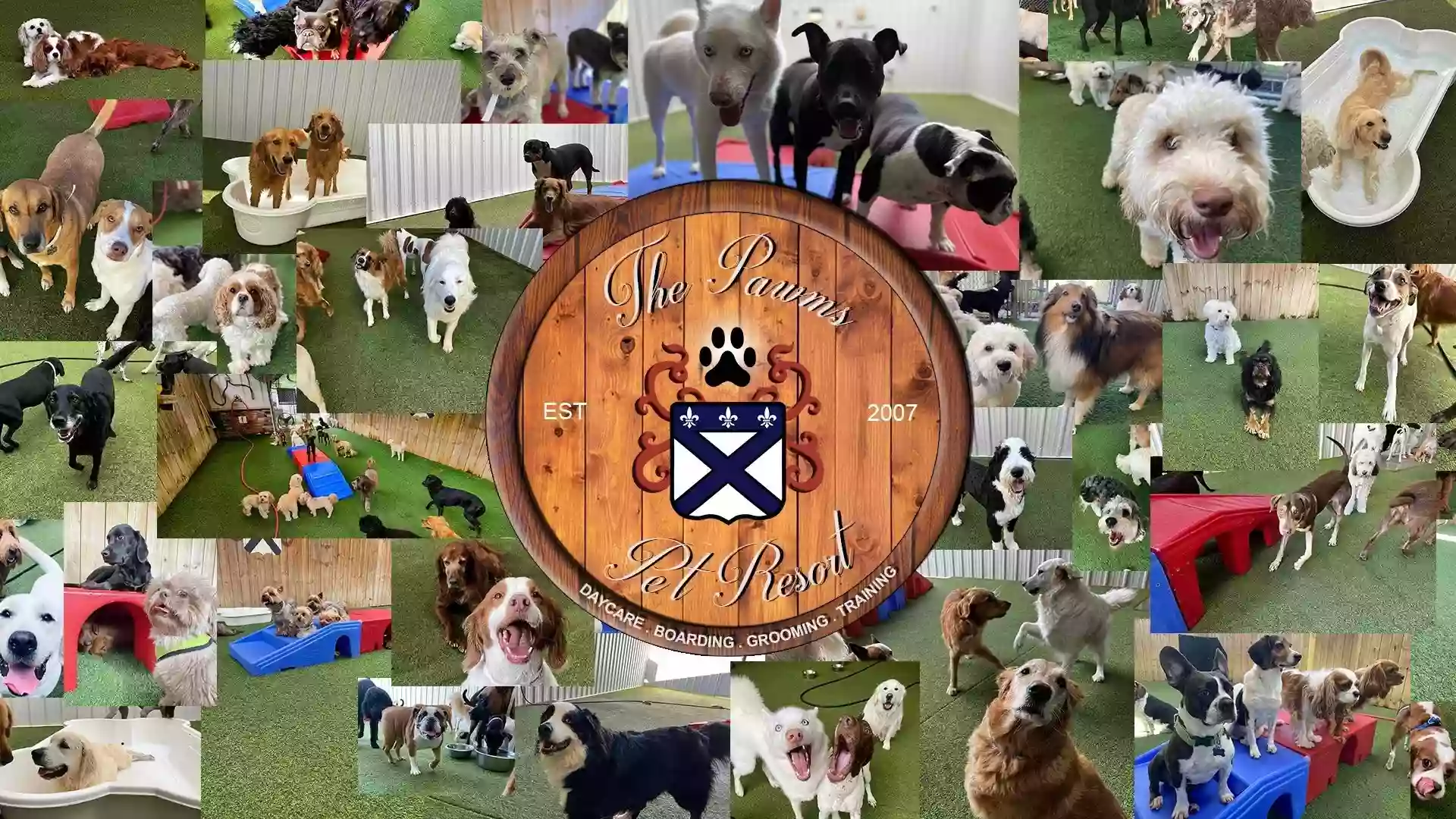 The Pawms Pet Resort Vestavia Hills