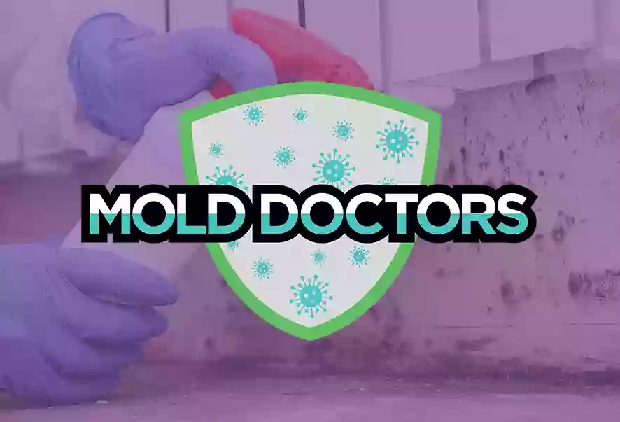 Mold Doctor Pros