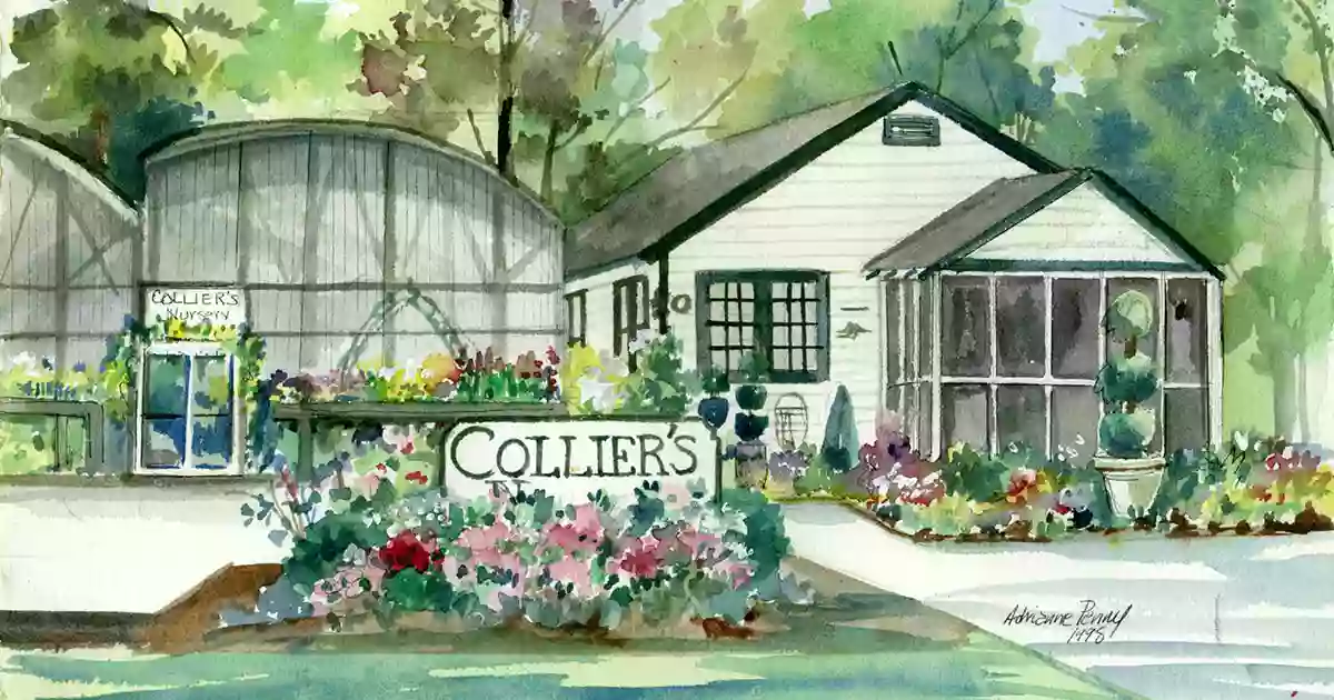 Collier's Nursery