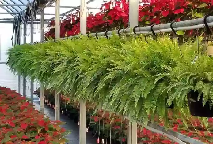 Shore Acres Plant Farm