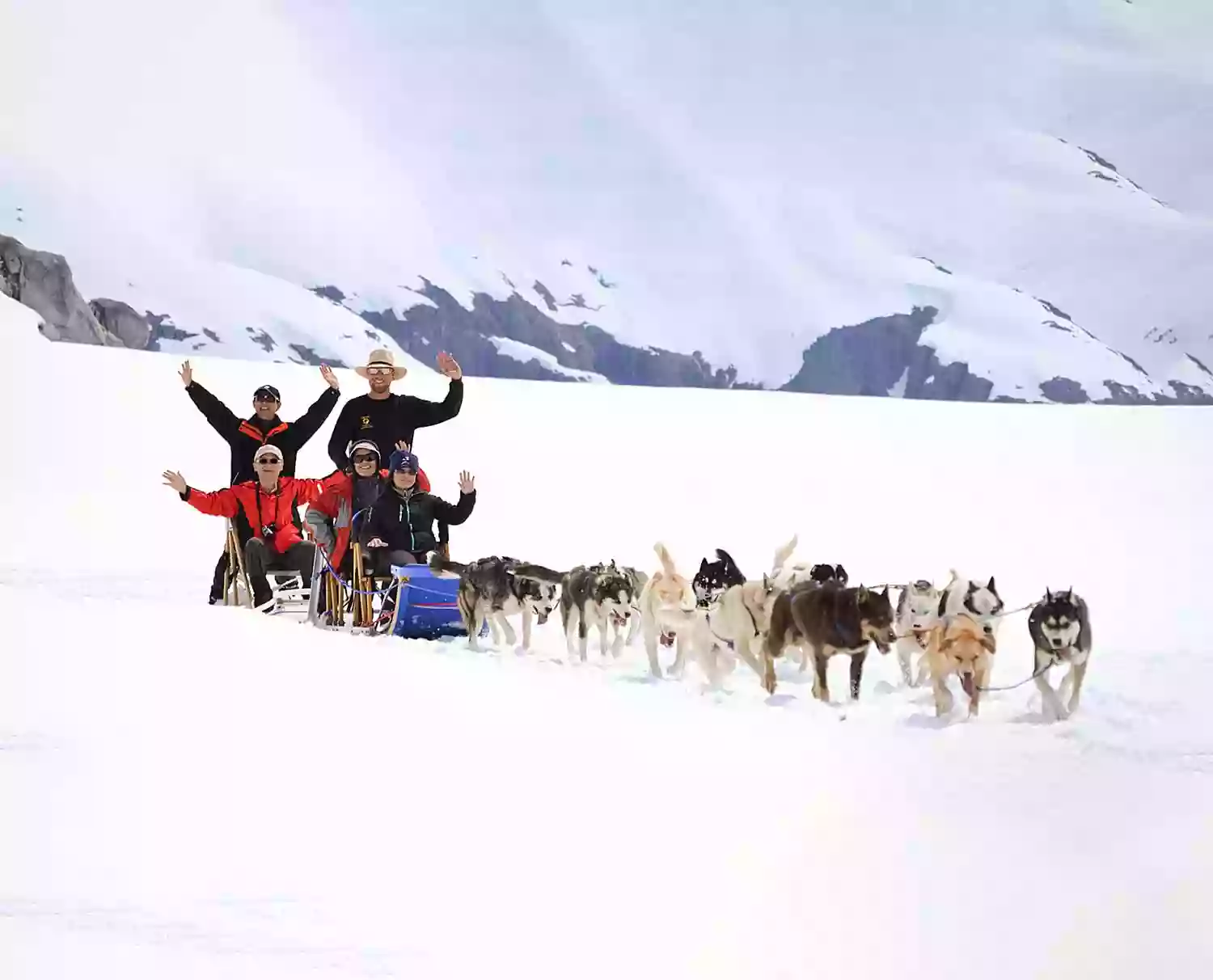 Alaska Icefield Expeditions - Glacier Dogsledding Tours