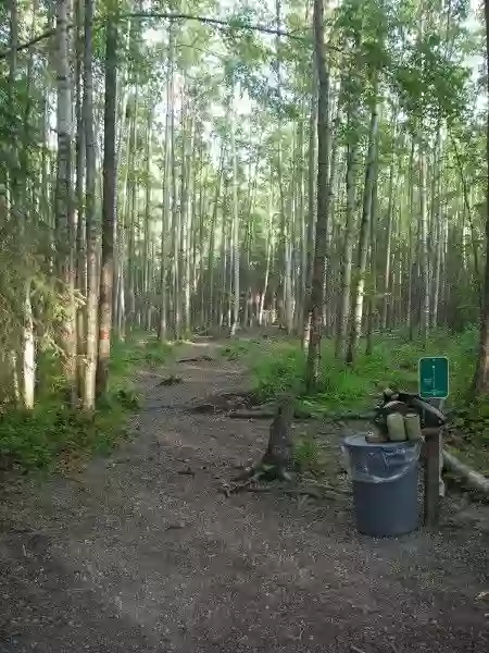 Peters Creek Disc Golf Course
