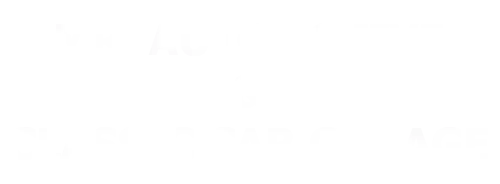 Mr. Automotive