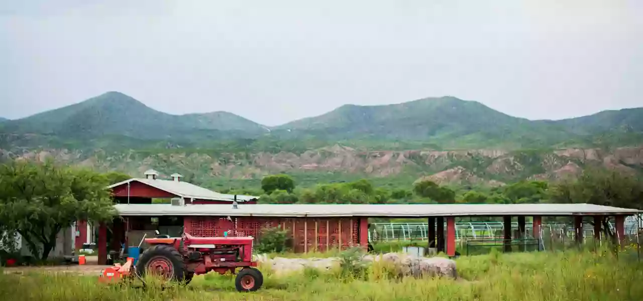 Heirloom Farmers Market | Udall Park