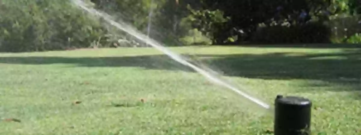 Sprinkler World