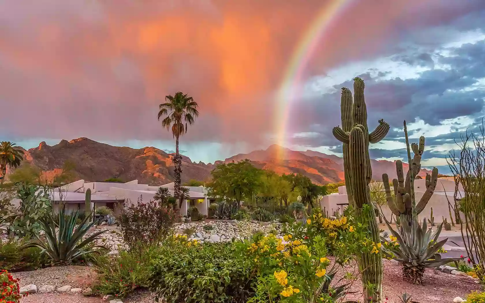 Sonoran Spa