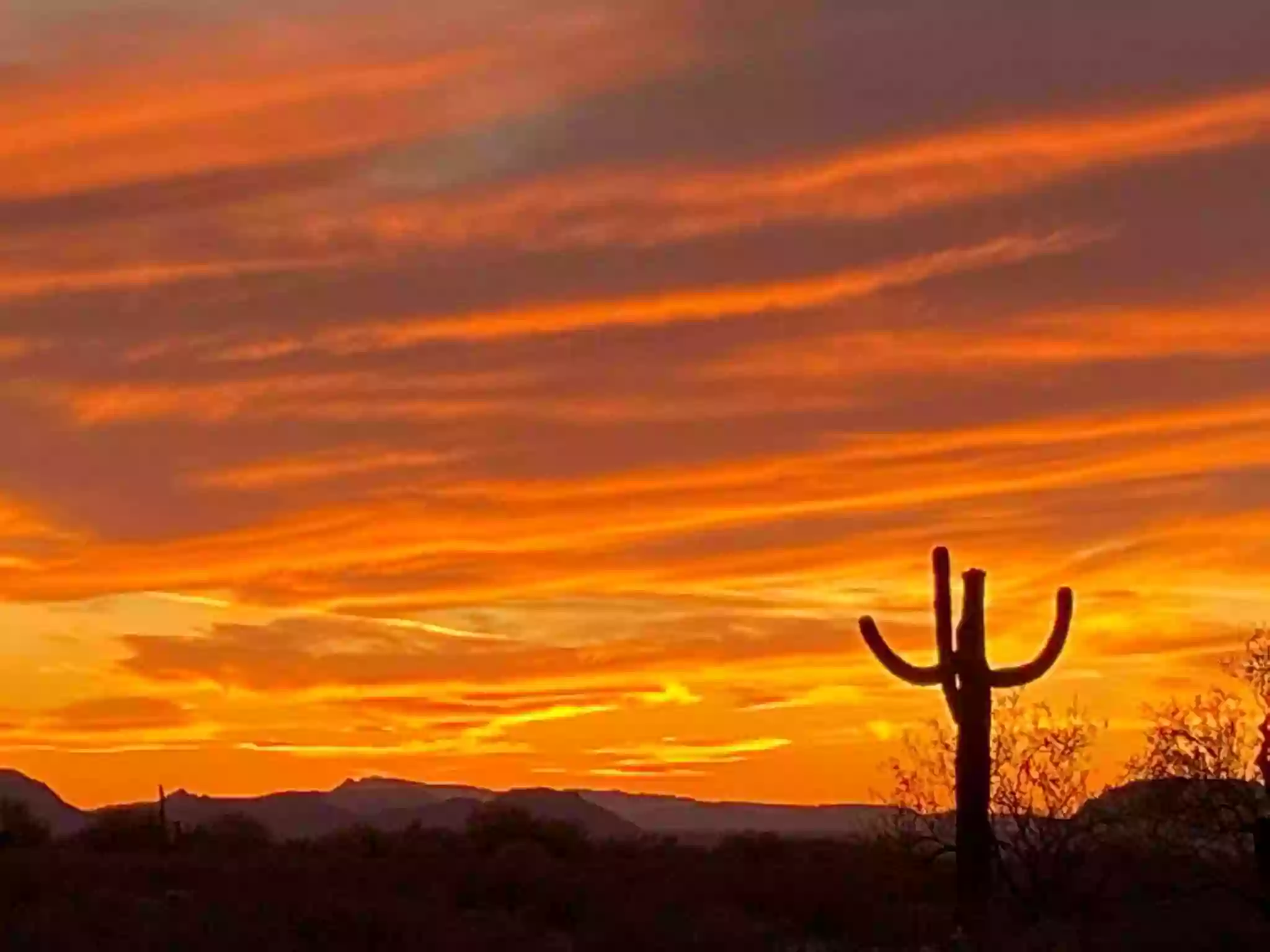 Sonoran Skies Campground