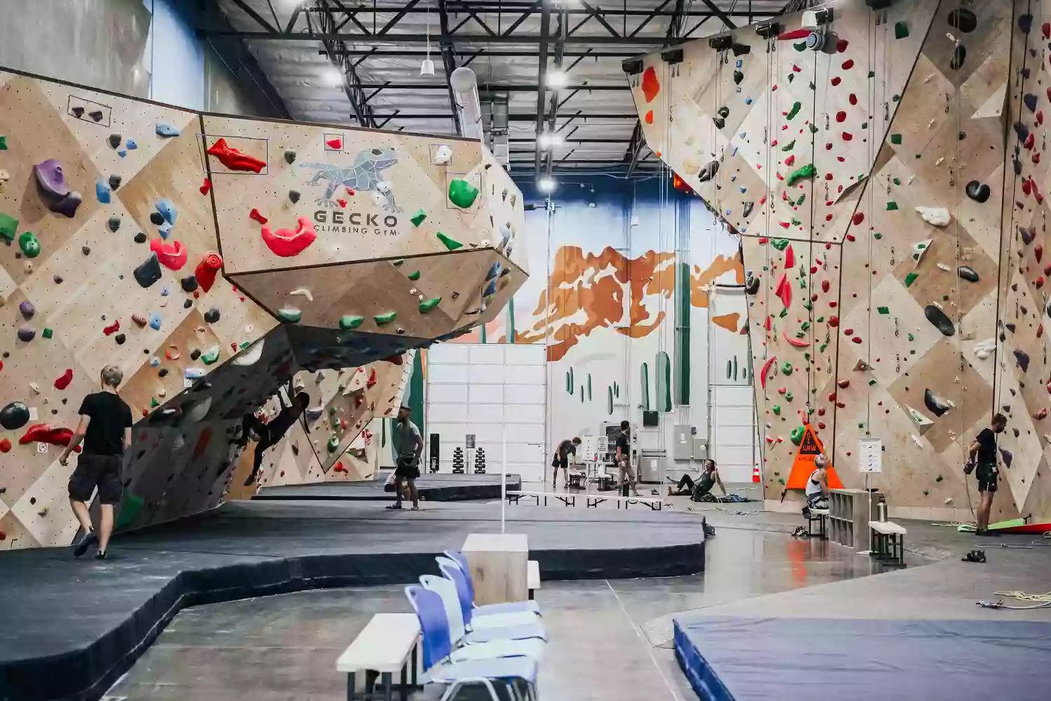 Gecko Climbing Gym