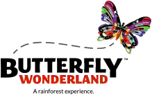 Butterfly Wonderland