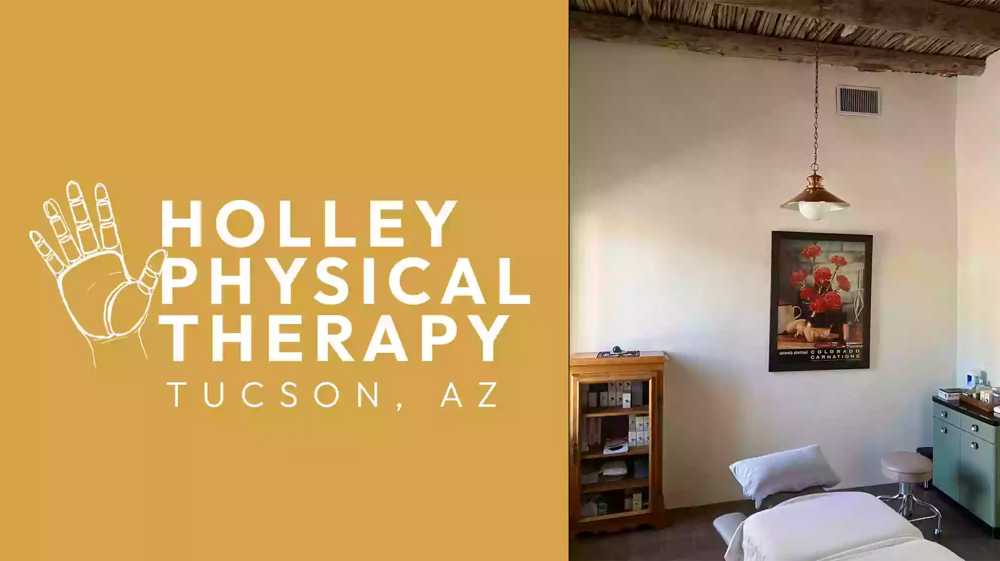 Holley Physical Therapy PLLC