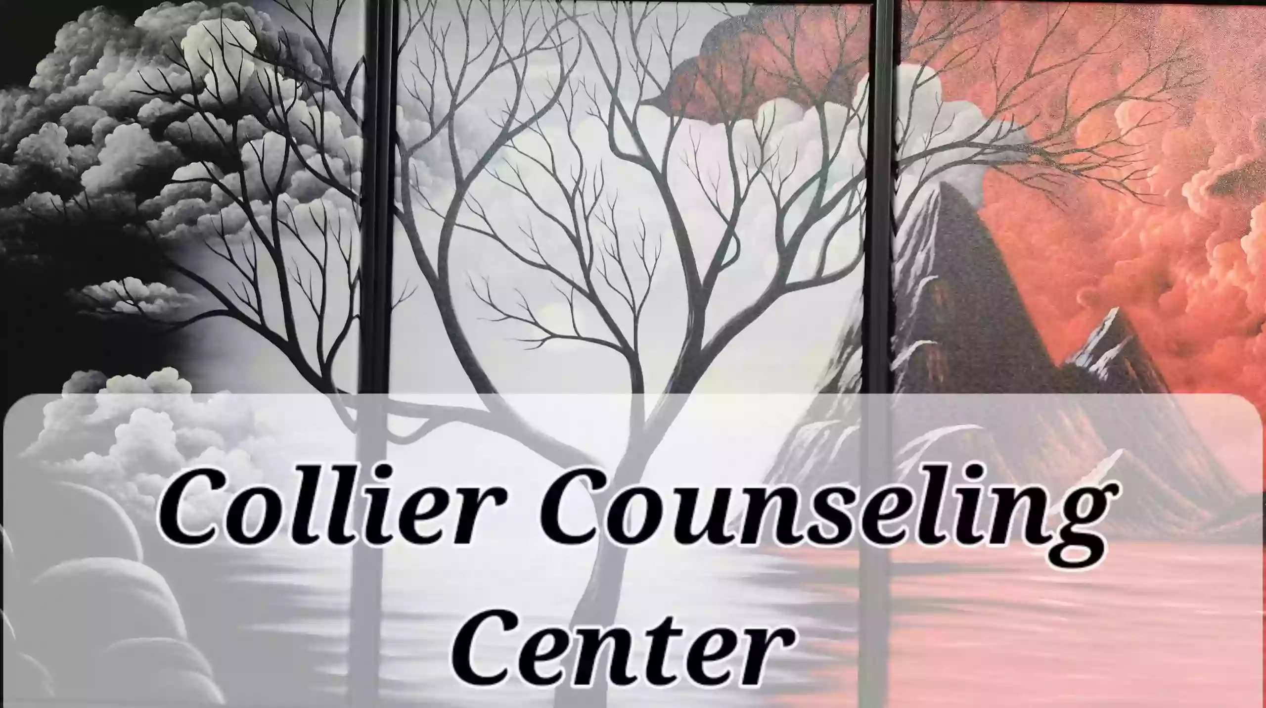 Court DUI treatment and Motor Vehicle Revocation Evaluations | Collier Counseling Center