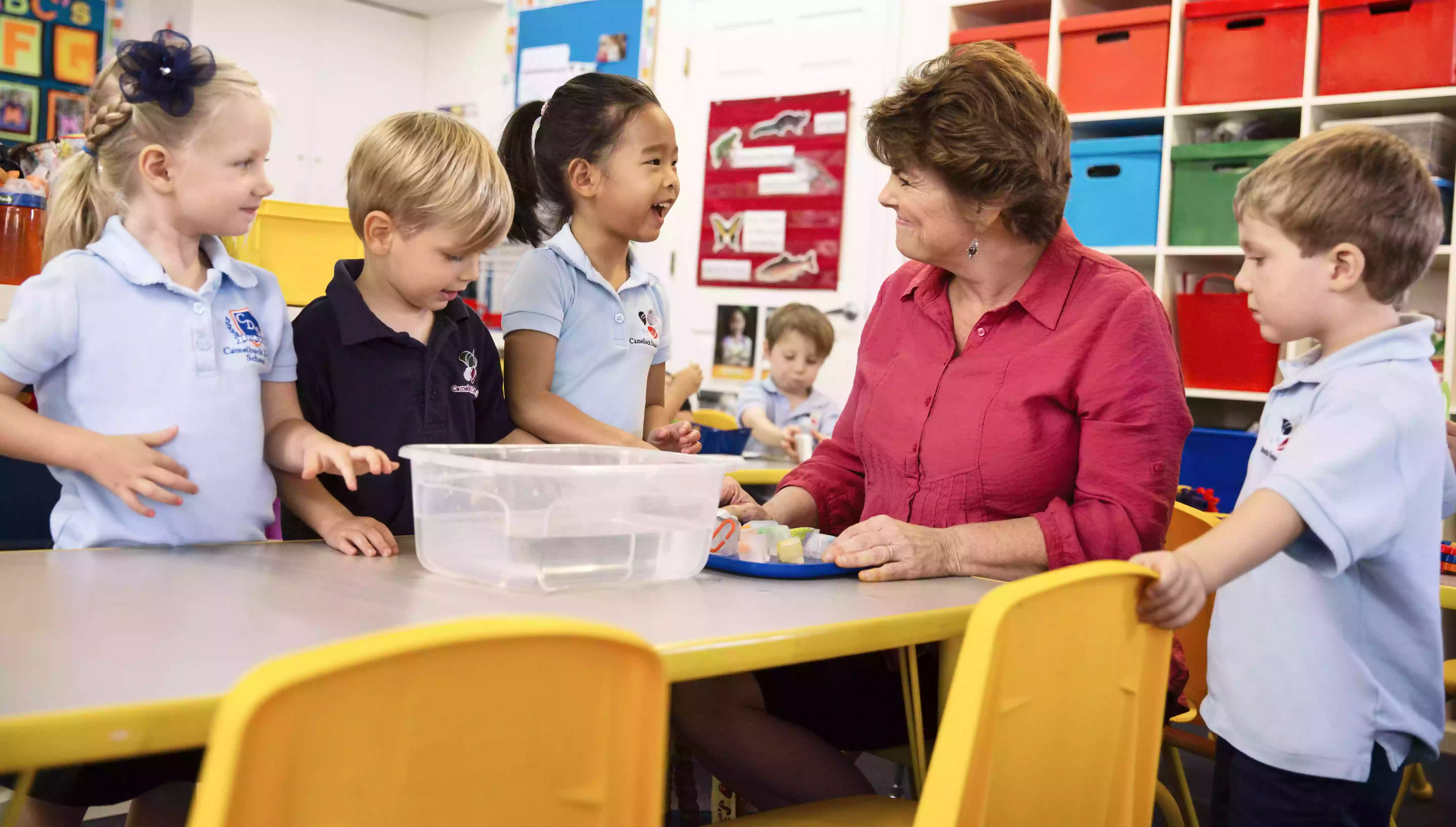 Camelback Desert School