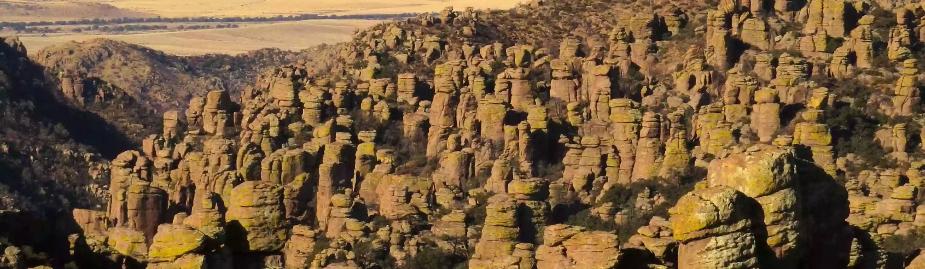 Chiricahua National Monument