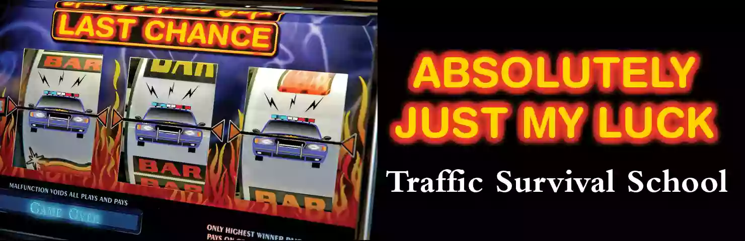 Busted! Traffic Survival School