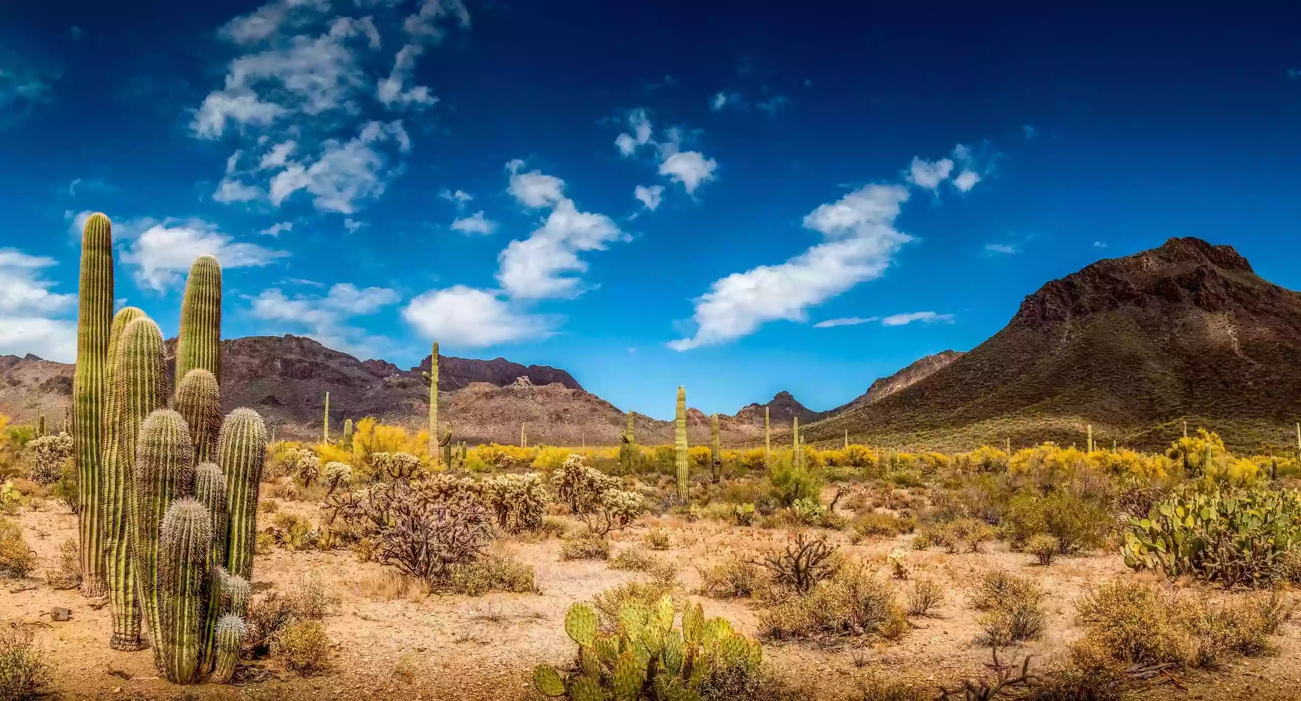 La Mesa Verde RV Park