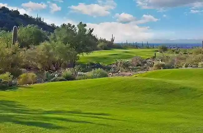 Dove Mountain Golf Academy