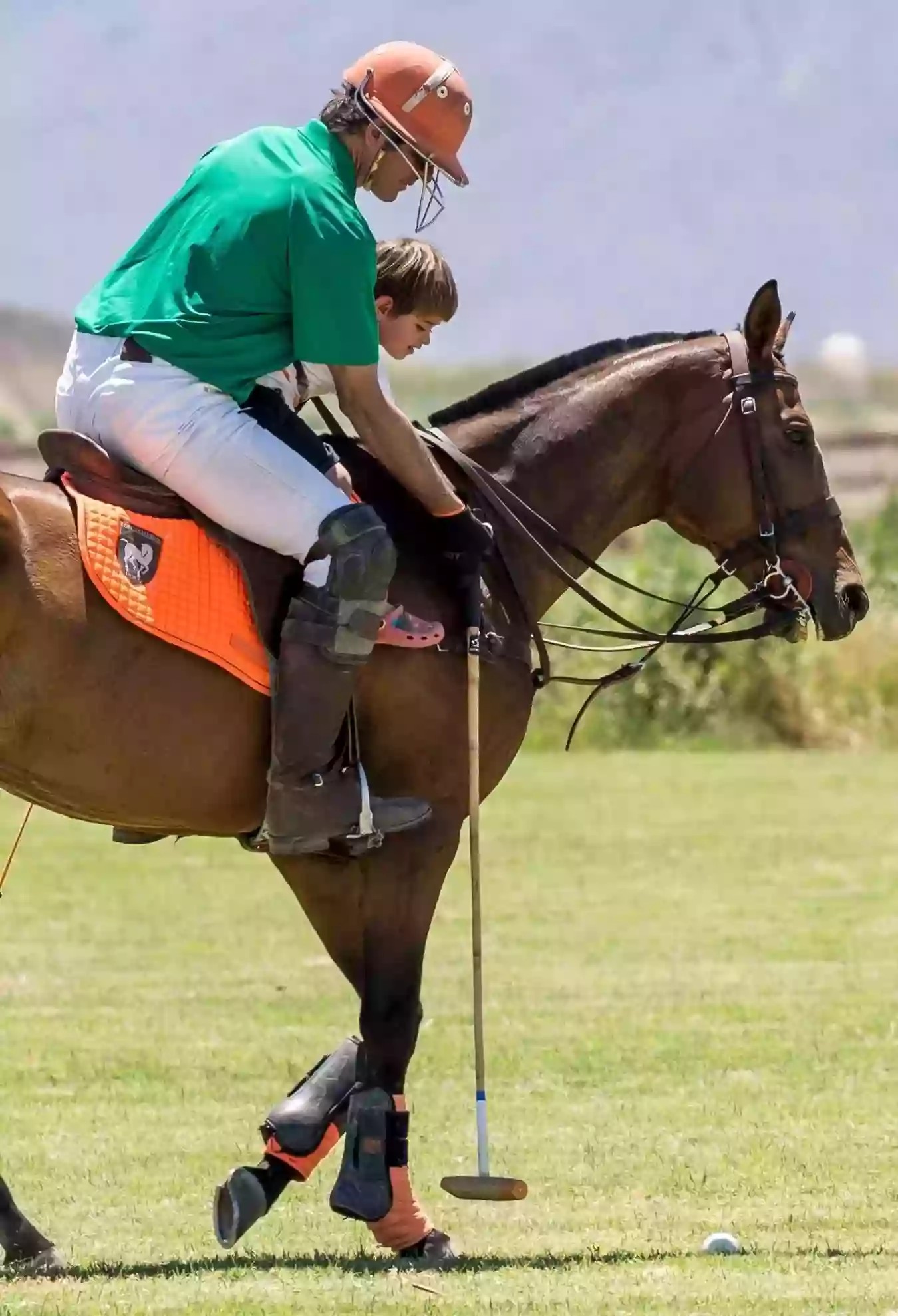 SCOTTSDALE POLO