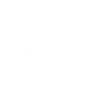 Gracie Jiu-Jitsu Phoenix