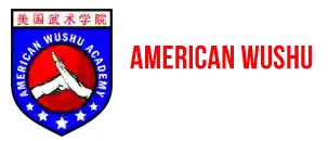 American Wushu Academy