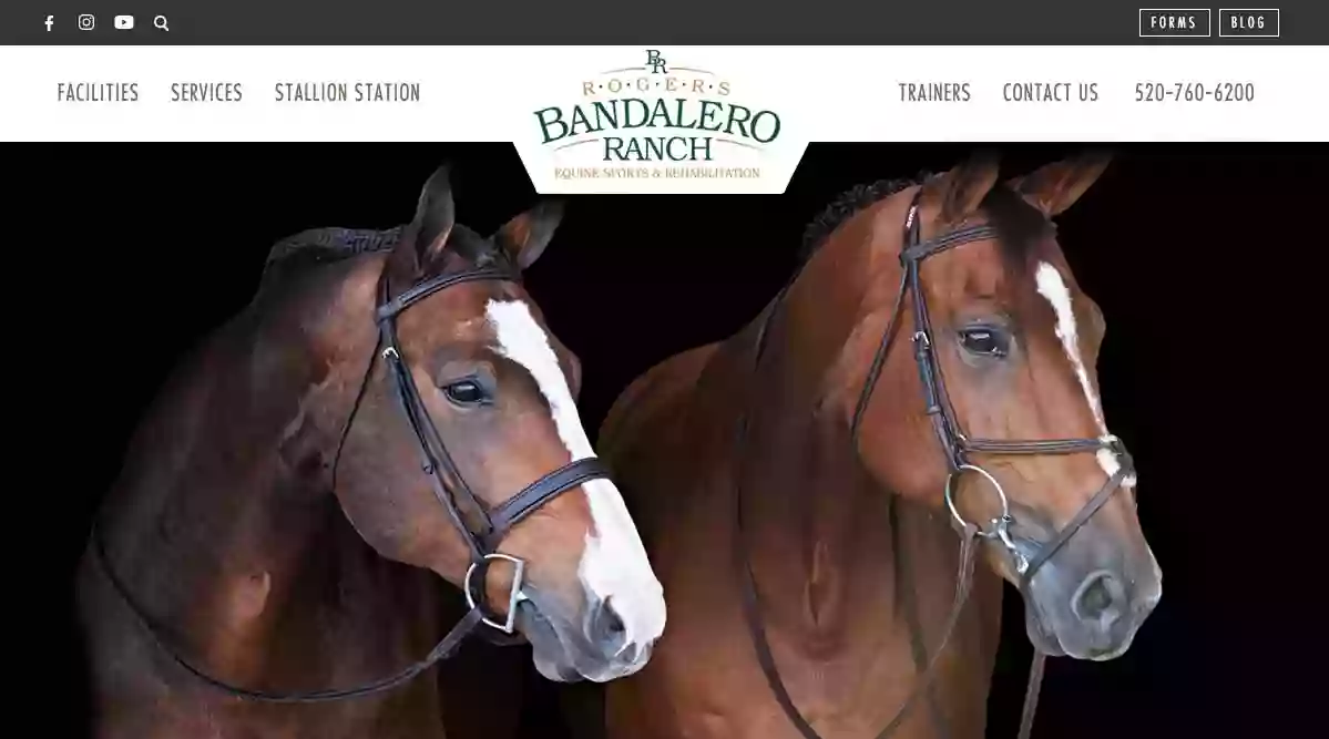 Bandalero Ranch-Equine