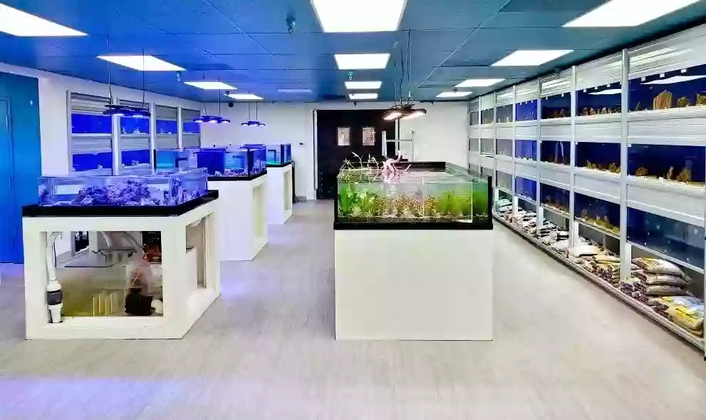 Limited Editon Corals Aquariums