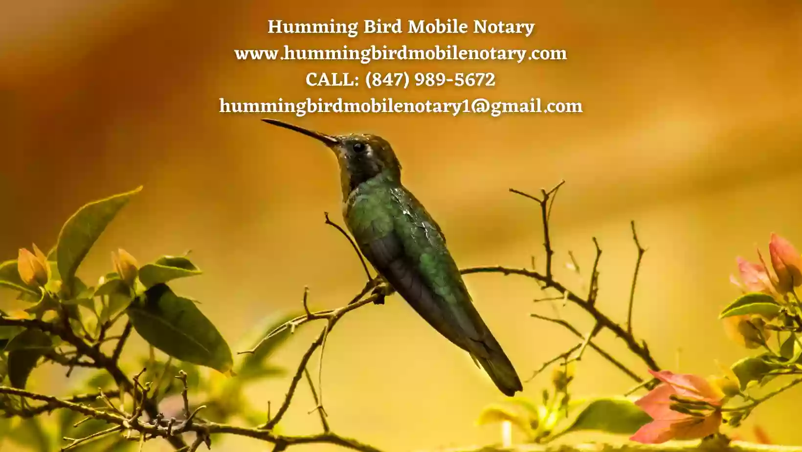 Hummingbird Mobile Notary Services , llc