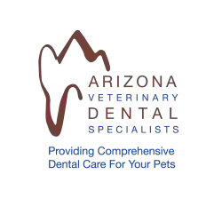 Arizona Veterinary Dental Specialists - Tucson